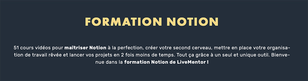 Formation Notion Livementor