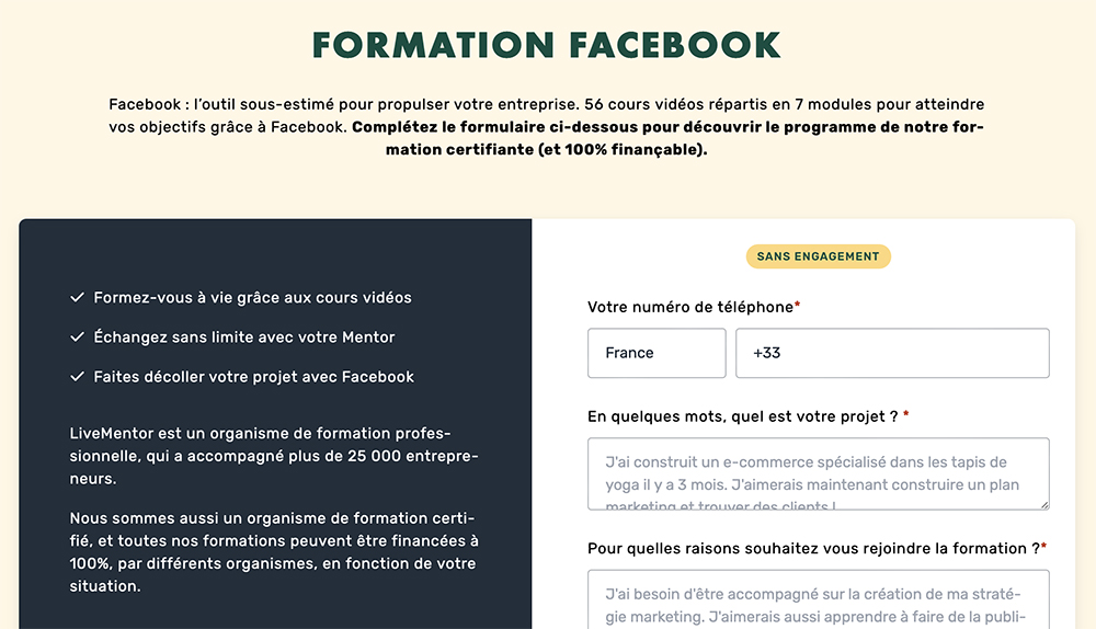 Formation Facebook de Livementor