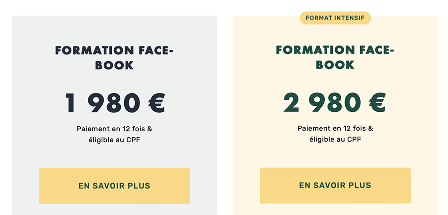 Formation Facebook de Livementor - prix