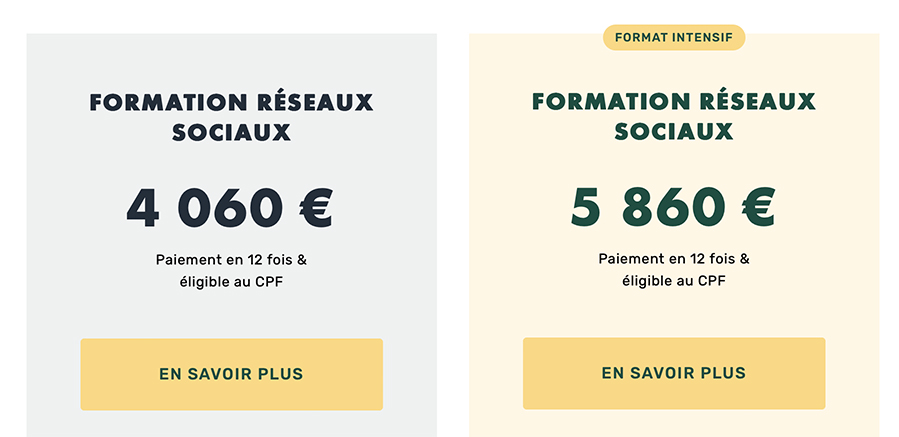 Formation Réseaux Sociaux Livementor - prix