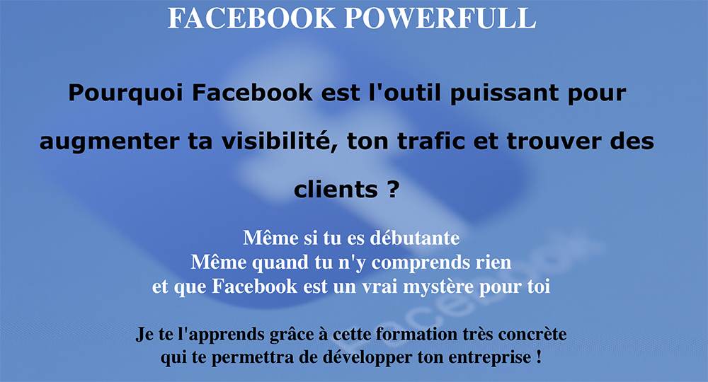 Facebook Powerfull de Delphine Meyer