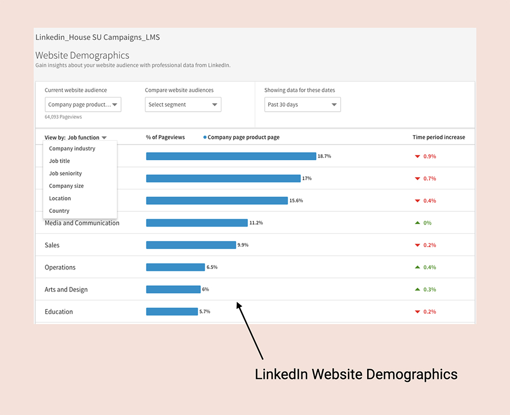 LinkedIn Website Demographics